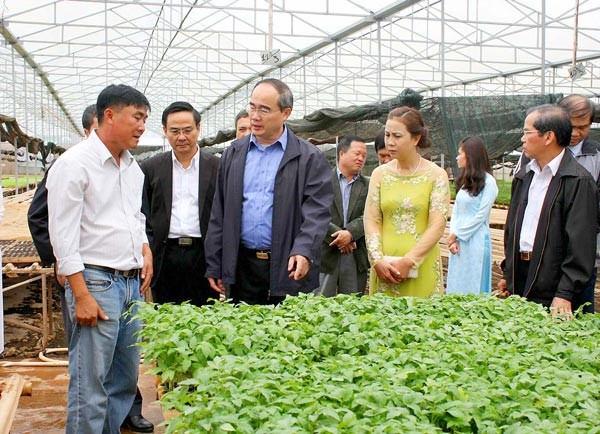 Nguyen Thien Nhan visits a farm which grows safe vegetables in the central highlands province of Lam Dong (Photo: SGGP) Nguyen Thien Nhan visits a farm which grows safe vegetables in the central highlands province of Lam Dong (Photo: SGGP)